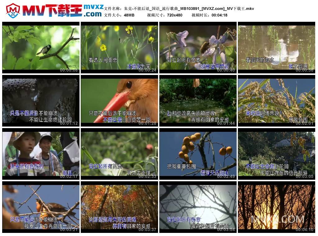 朱克-不能后退_国语_流行歌曲_MB103891
